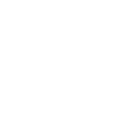 SDVOB certified